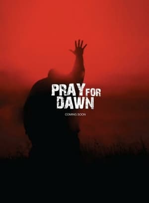 Pray for Dawn poster