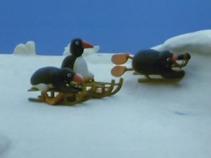 Pingu Pingu's Tobogganing