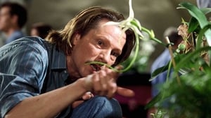 Adaptation: El ladrón de orquídeas (2002) HD 1080p Latino
