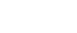 Redescobrindo o Amor — Logos 2