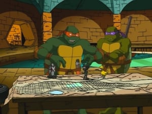 Teenage Mutant Ninja Turtles 2×14