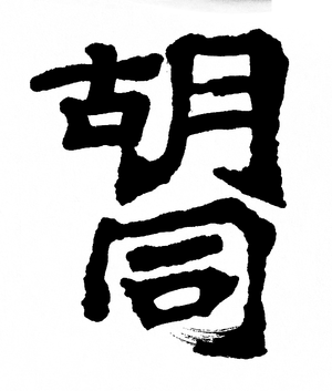 胡同 — Logos 3