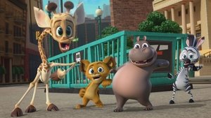 Madagascar: A Little Wild: 1×1