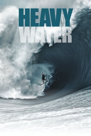 Poster Heavy Water 2015