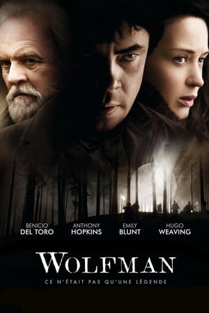 Poster Wolfman 2010