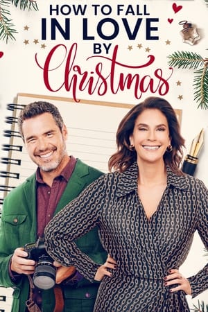 Poster How to Fall in Love by Christmas (2023)