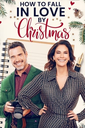 Poster How to Fall in Love by Christmas 2023