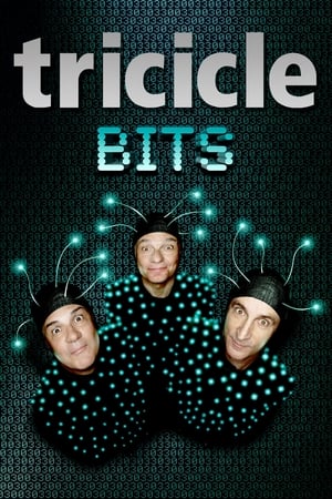 Poster Tricicle: Bits 2012