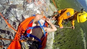 To The Rescue