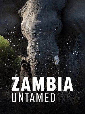 Image Zambia Untamed