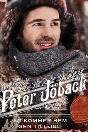 Poster Peter Jöback: Jag kommer hem igen till jul - Live från Globen 2009