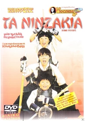 Poster Τα Νιντζάκια 1986