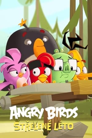Image Angry Birds: Střelené léto