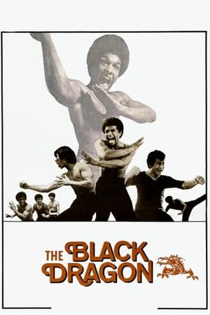 Poster The Black Dragon (1974)