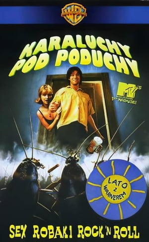 Poster Karaluchy pod poduchy 1996