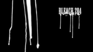 Ver 14x19 - Bleach Bleach - Chain of Sacrifice, Halibel's Past episodio 19 online