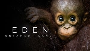 poster Eden: Untamed Planet