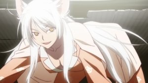 Episodio 13