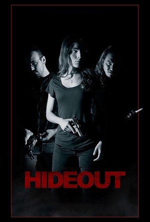 Image Hideout