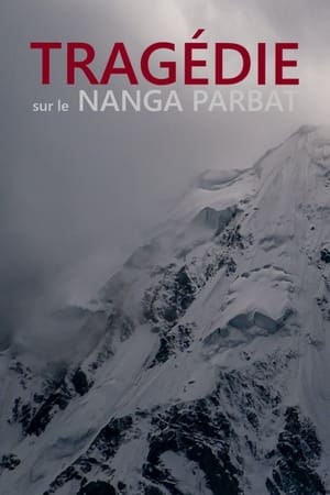 Image Tragédie sur le Nanga Parbat