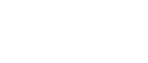 Aşkı Ararken
