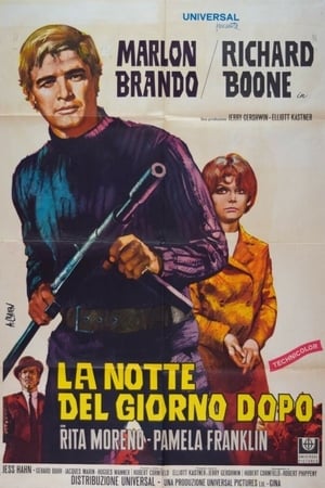 Poster di La notte del giorno dopo