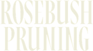Rosebush Pruning