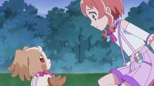 Wonderful Precure!: 1×26