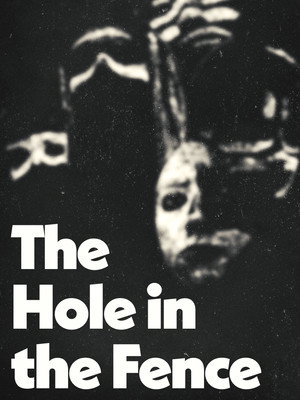 The Hole in the Fence 13