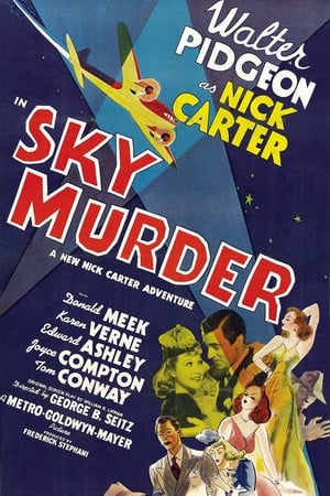 Sky Murder poster