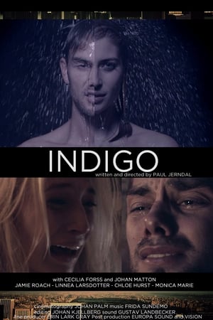 Poster Indigo (2014)