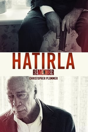 Poster Hatırla 2015