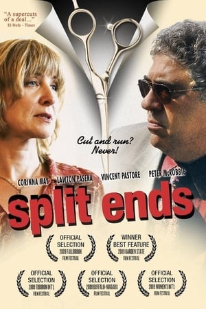 Poster Split Ends (2009)