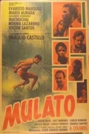 Poster Mulato 1974