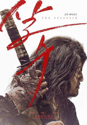 The Assassin 22