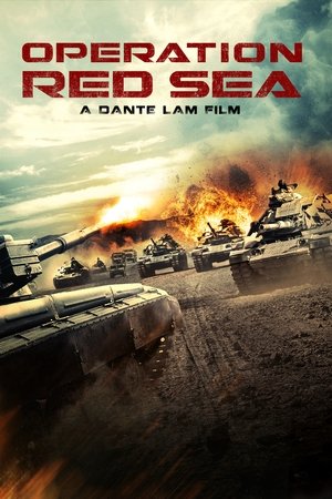 ოპერაცია წითელი ზღვა Operation Red Sea