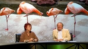 QI: Season6 – Episode10