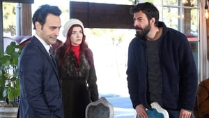 Kuzey Yıldızı: 1×17