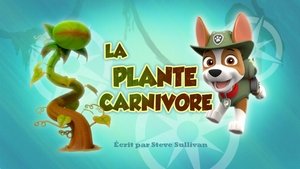 PAW Patrol 3×45 – Pups Save a Giant Plant