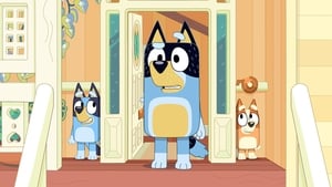 Bluey: 1×6