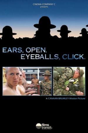 Image Ears, Open. Eyeballs, Click.