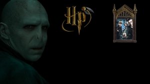 Harry Potter a Fénixův řád