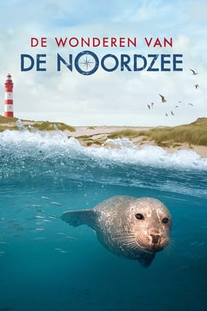 De wonderen van de Noordzee