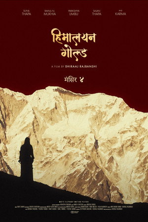 Himalayan Gold 19