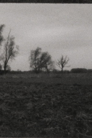 Landscape as Landscape 10