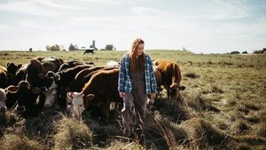 Green and Gold (2025)