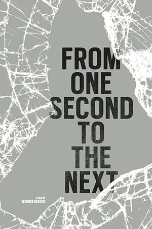 Poster di From One Second to the Next