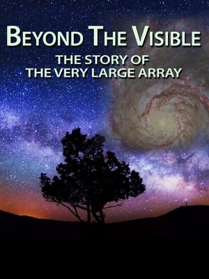 Poster Beyond the Visible: The Story of the Very Large Array 2013