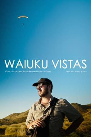 Waiuku Vistas