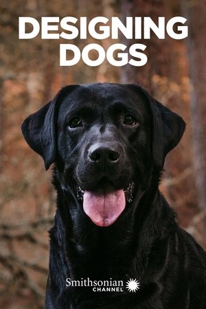 Designing Dogs (2007)